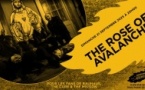 The Rose of Avalanche en concert (côté Records)