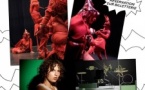 • SUPERFLASH - FESTIVAL SPECTACLE VIVANT •