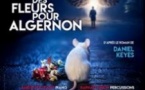 Des Fleurs pour Algernon - Théâtre du Roi René, Avignon