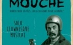 Mr Mouche