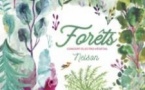 Forêts