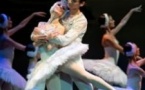 Le Lac des Cygnes - Ballet Classique International