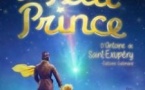 Le Petit Prince - Le Théâtre de Jeanne, Nantes