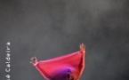 Carcaça