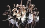 Ballet Preljocaj : Le Lac Des Cygnes