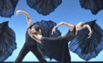 Malandain Ballet Biarritz : Les Saisons