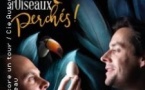 Les Chanteurs D'Oiseaux, Perchés !