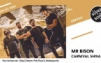 Mr BISON • Carnival Shiva