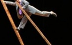 Circus Incognitus