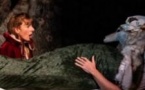 Le Petit Chaperon Rouge - Espace Michel-Simon - Salle Arletty, Noisy le Grand