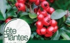 Fête des Plantes d'Automnne