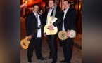 Café-concert : Trio Tentacion
