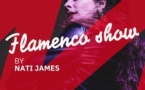 Flamenco Show de Nati James