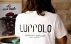 Atelier Dégustation de bières chez Luppolo