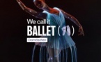 We call it Ballet: la Belle au bois dormant, danse et spectacle de lumière