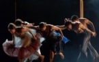 Los Bailes Robados