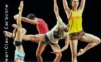Panorama Danse
