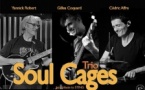 SOUL CAGES TRIO "Jazz tribute to STING"