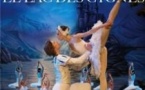 Le Lac des Cygnes - International Classical Ballet of Ukraine - Tournée