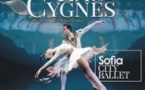 Le Lac des Cygnes - Sofia City Ballet (Tournée)