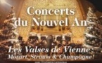 Concerts du Nouvel An : Les Valses de Vienne