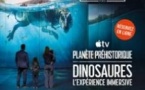 Atelier des Lumières - Planète Préhistorique : Dinosaures, l'Expérience Immersive