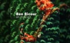 Ben Ricour - En concert