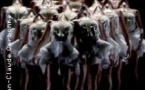 Le Lac des Cygnes -  Ballet Preljocaj - Théâtre des Champs-Elysées, Paris