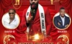 Mister Prestige Haïti de France 2025