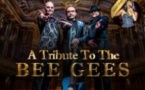 Night Fever - A tribute to The Bee Gees