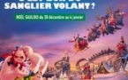 Parc Astérix - Saison 2026 - Offre Noël