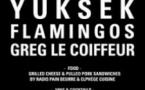 Yuksek, Flamingos, Greg le Coiffeur