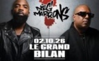 Neg'Marrons - Le Grand Bilan
