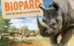Bioparc Zoo de Doué-Lafontaine