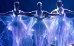 Ballet of Lights - Carte-Cadeau