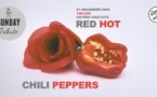 Sunday Tribute - Red Hot Chili Peppers