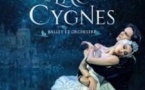 Le Lac des Cygnes - Ballet & Orchestre - Paris & Tournée 2026