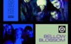 BELLOW BLOSSOM x SANAZA