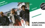 Sunflowers • Zombie Dog