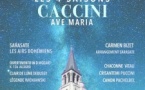 Les 4 Saisons de Vivaldi, Ave Maria et Célèbres Concertos