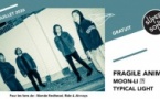 Fragile Animals • Moon-Li 历 • Typical Light