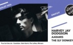 Harvey Jay Dodgson • Aaramis • The Sly Donkeys