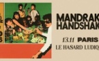 Take Me Out : Mandrake Handshake en concert à Paris !