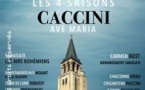 Les 4 Saisons de Vivaldi  Ave Maria et Célébres Concertos