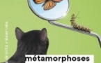 Métamorphoses (+ Les Expositions)