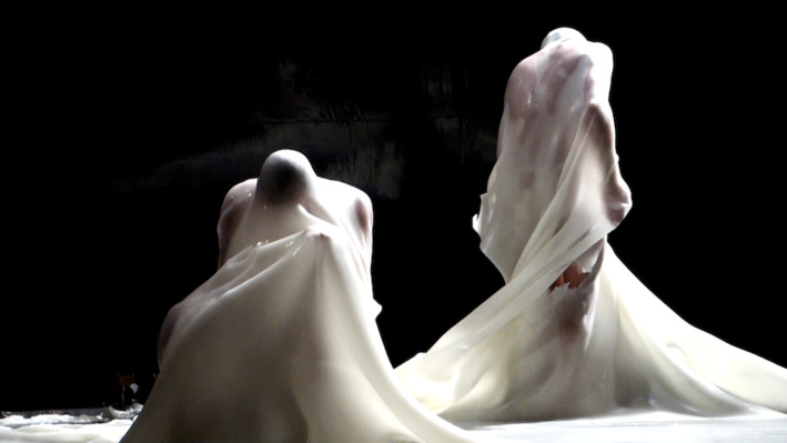 Exuvie - Copyright: Joao Garcia Exuvie - Copyright: Joao Garcia