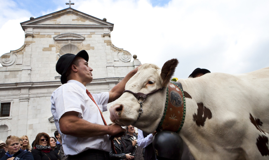 Descente des Alpages à Annecy le 14 octobre 2017 - Photo F.Cavazzana Descente des Alpages à Annecy le 14 octobre 2017 - Photo F.Cavazzana