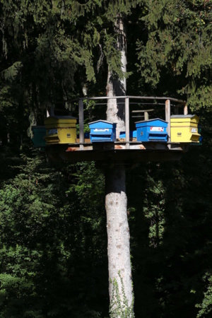 L'esprit des Trésoms L'esprit des Trésoms