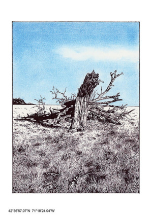 Ici & Ailleurs. Exposition de Franz Schimpl Ici & Ailleurs. Exposition de Franz Schimpl