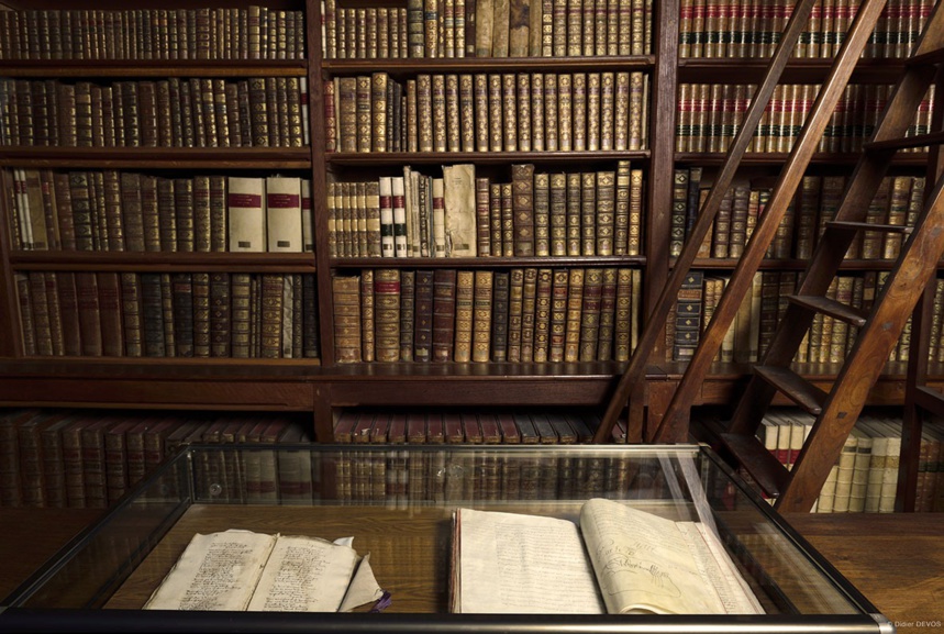 Photo © Didier Devos Photo © Didier Devos